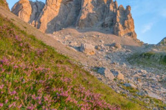 France, Pyrénées-Atlantiques (64), Béarn, Lescun, aiguilles d'Ansabère au lever de soleil, vallée d'Aspe//France, Pyrenees-Atlantiques (64), Béarn, Lescun, Ansabère needles at sunrise, Aspe valley