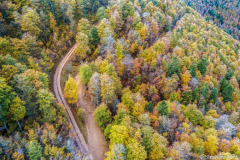 La forêt d'Iraty l'automne et un chemin (vue aérienne)//The Iraty forest in autumn and a path (aerial view)