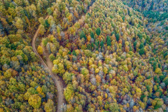 la forêt d'Iraty l'automne et un chemin (vue aérienne)//the Iraty forest in autumn and a path (aerial view)