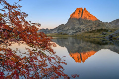 DSC_0639-Modifier
