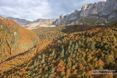 Lescun forêt d'automne orgues de Camplong