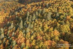 Lescun forêt d'automne
