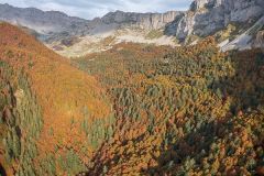 Lescun forêt d'automne orgues de Camplong