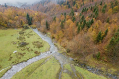 Une hêtraie sapinière l'automne et une rivière en vallée d'Aspe (vue aérienne)//A fir beech forest in autumn and a river in the Aspe valley (aerial view)
