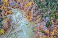 Une hêtraie sapinière l'automne en vallée d'Ossau (vue aérienne)//A fir beech forest in autumn in the Ossau valley (aerial view)