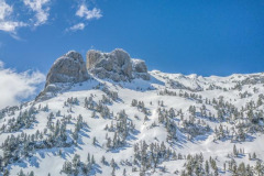 Paysage enneigé de pins et du pas de l'Osque (vue aérienne)//Snow-covered landscape of pines and Pas de l'Osque (aerial view)