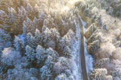 Une route et une forêt de sapins enneigés en vallée d'Aspe(vue aérienne)//A road and a forest of snow-covered fir trees in the Aspe valley (aerial view)