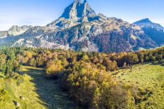 le pic d'Ossau et une forêt l'automne (vue aérienne)//Pic d'Ossau and a forest in autumn (aerial view)