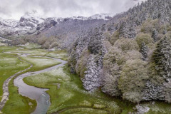 Une forêt, le pic Casterau, une rivière avec la neige au printemps en vallée d'Ossau (vue aérienne)//A forest, the Casterau peak, a river with snow in spring in the Ossau valley (aerial view)