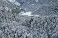 Les sapins enneigés et le lac Bious Artigues (vue aérienne)//Snow-covered fir trees and Lake Bious Artigues (aerial view)