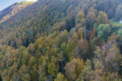 DJI_0118-Panorama