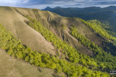 DJI_0227-Panorama