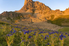 05082021-DSC_1008-Panorama-2