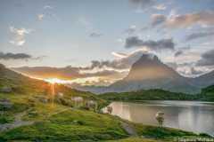 Béarn, vallée d'Ossau, troupeau de vaches au bord du lac Gentau au lever de soleil sur le pic du midi d'Ossau//Béarn, Ossau valley, herd of cows on the edge of Lake Gentau at sunrise on the Pic du Midi d'Ossau