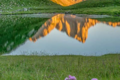 France, Pyrénées-Atlantiques (64), Béarn, Lescun, lac et aiguilles d'Ansabère au lever de soleil, vallée d'Aspe//France, Pyrenees-Atlantiques (64), Bearn, Lescun, lake and Aiguilles d'Ansabère at sunrise, Aspe valley