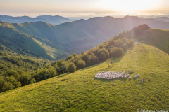 15072018-DJI_0179-2