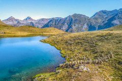 Un lac et des brebis en vallée d'Ossau (vue aérienne)//A lake and sheep in the Ossau valley (aerial view)