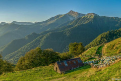 Pays Basque, brebis manech tête noire, cabane de berger  et forêt d'Iraty vue pic d'Orhy//Basque Country, black head manech sheep, shepherd's hut and Iraty forest view from Orhy peak