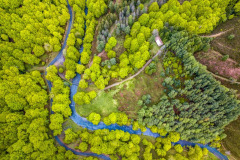 la forêt d'Iraty, une rivière et une cabane au printemps (vue aérienne)//the Iraty forest, a river and a cabin in spring (aerial view)