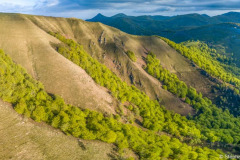 Des vallons et la hetraie d'Iraty au printemps (vue aérienne)//Valleys and the hetraie of Iraty in spring (aerial view)