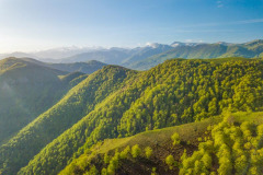 Foret d'Iraty au Pays Basque le printemps (vue aérienne)//Foret d'Iraty in the Basque Country in spring (aerial view)