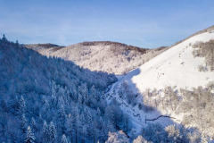 la forêt de hêtres et de sapins enneigés à Iraty (vue aérienne)//the snow-covered beech and fir forest in Iraty (aerial view)