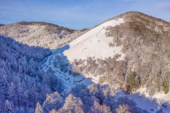 la forêt de hêtres et de sapins enneigés à Iraty (vue aérienne)//the snow-covered beech and fir forest in Iraty (aerial view)
