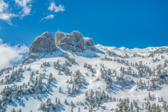 Paysage enneigé de pins et du pas de l'Osque (vue aérienne)//Snow-covered landscape of pines and Pas de l'Osque (aerial view)