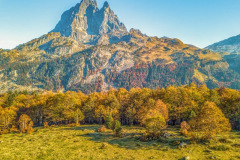 Une prairie, la forêt et le pic d'Ossau l'automne (vue aérienne)//A meadow, the forest and the Pic d'Ossau in autumn (aerial view)