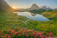 30_Pic-d-Ossau-lever-de-soleil-rhododendrons
