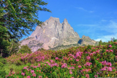 DSC_7058-Modifier-Modifier