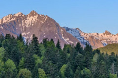 DSC_0270-Panorama