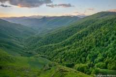 DSC_7530-Avec-accentuation-Bruit