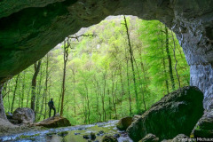 DSC_8700-Avec-accentuation-Bruit-2